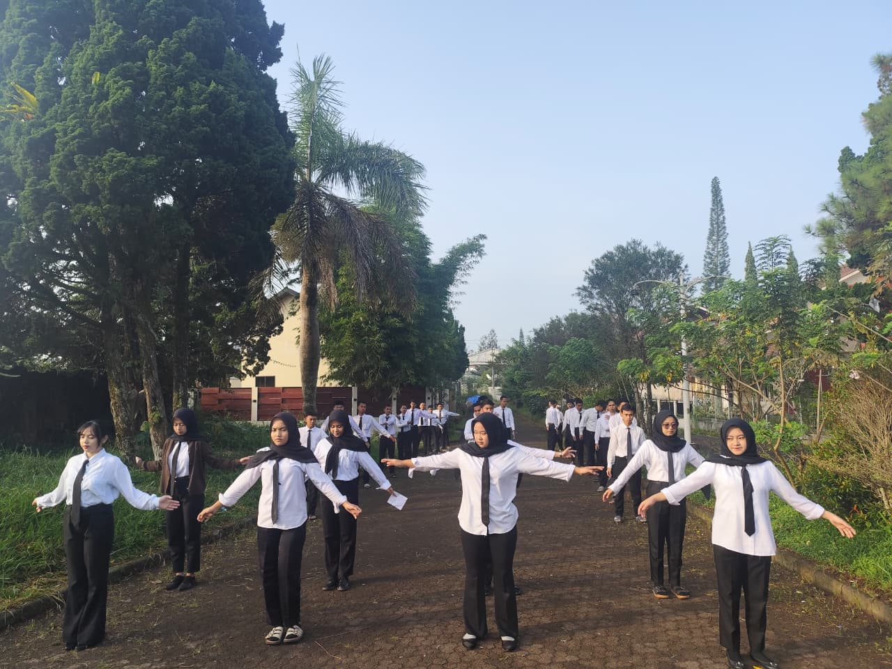 Program Magang
